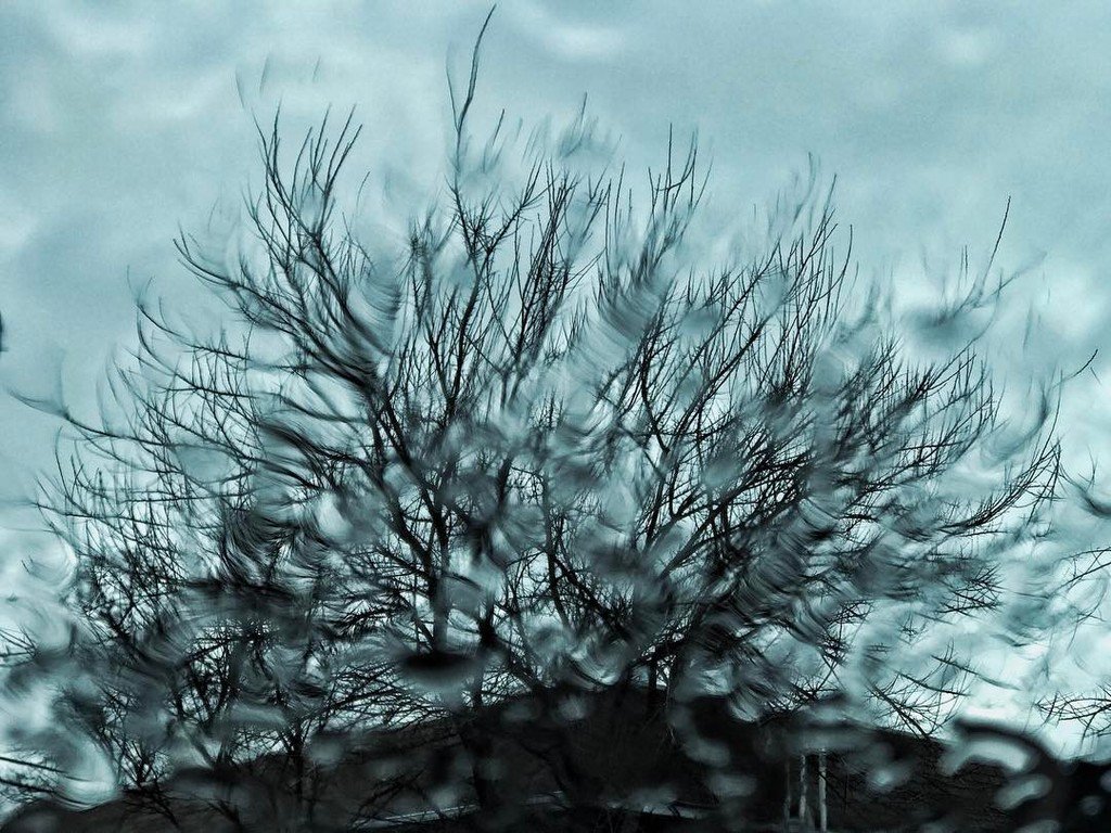 benlowy's tweet photo. Maplewood, NJ | March 28, 2017
The current state of the tree of life. Gettin Meta here... #maplewood #rain #treeof… https://t.co/4m2ca2Lu7B https://t.co/XrT9fVFdyv
