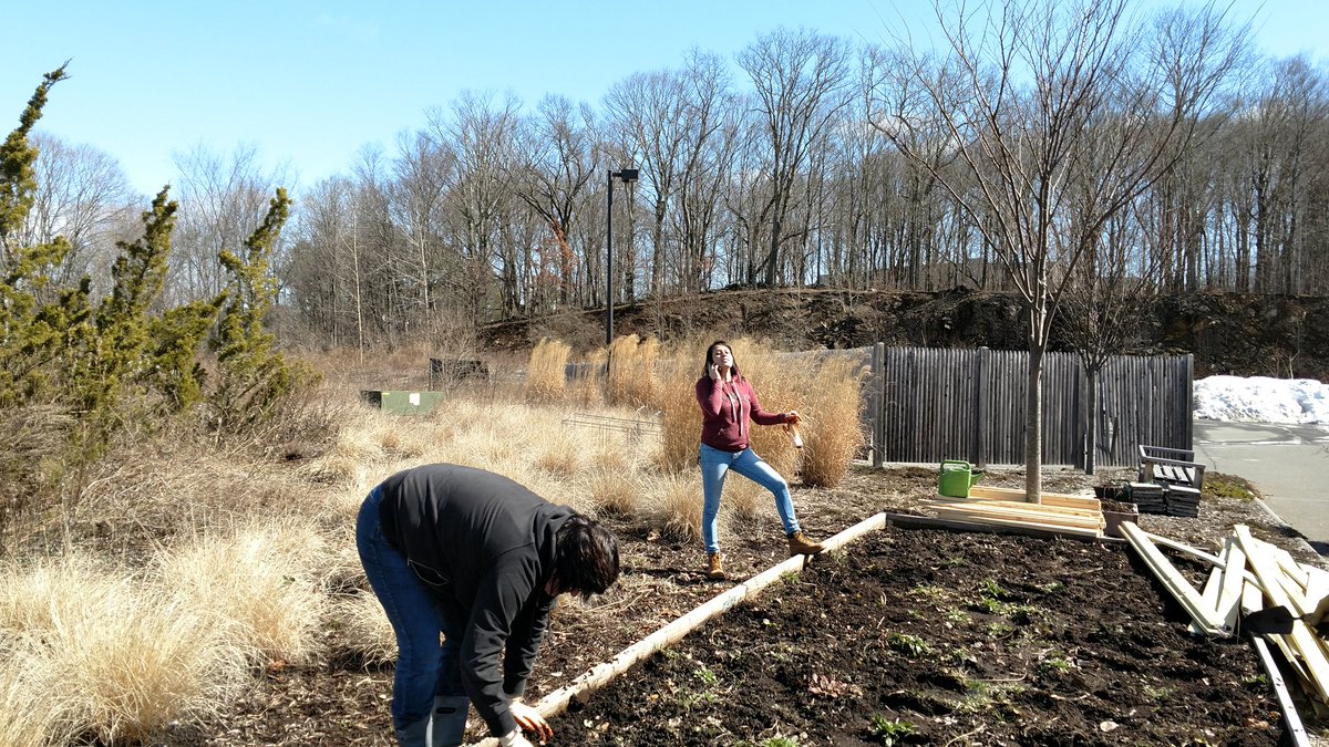 The garden is coming alive again!  <a href="/MarkRouthier/">Mark Routhier</a> <a href="/Williams2Bryan/">Bryan Williams</a> <a href="/AcevedoRosemary/">Rosemary</a> @LincLefebvre