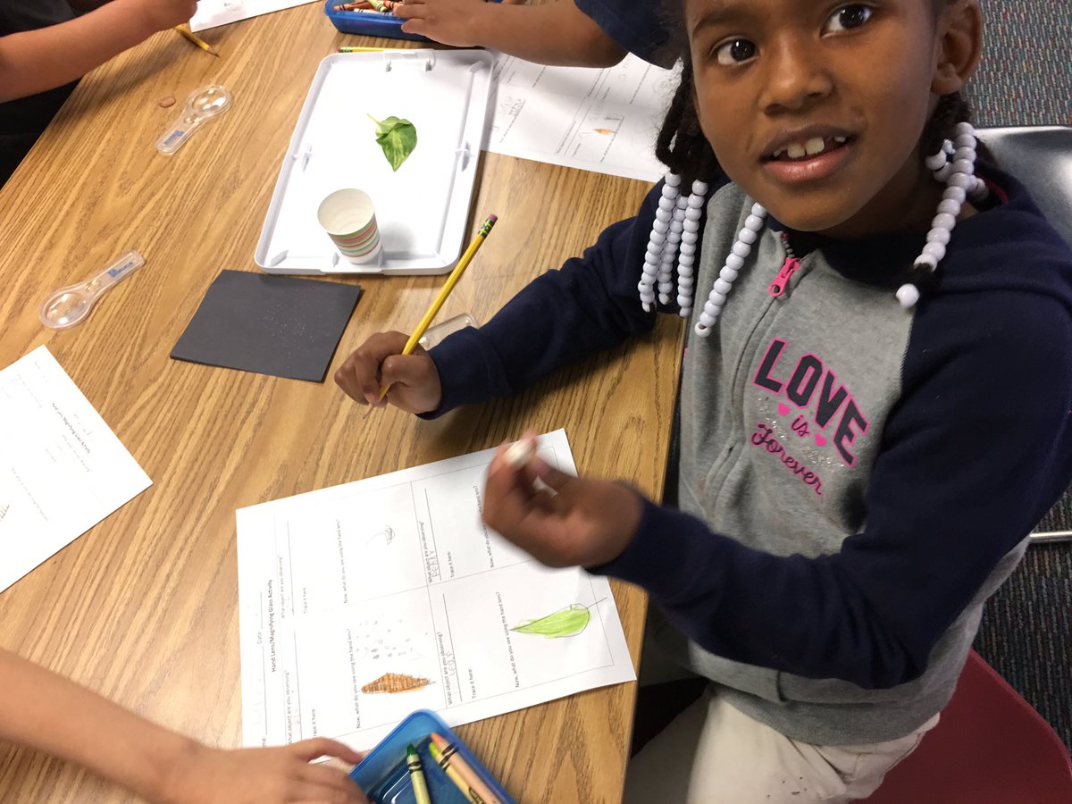 DaughtreySTEM's tweet photo. Today 1st grade is working hard figuring out how hand lenses make things look larger, and drawing what they observe. https://t.co/yGJgVPds4a