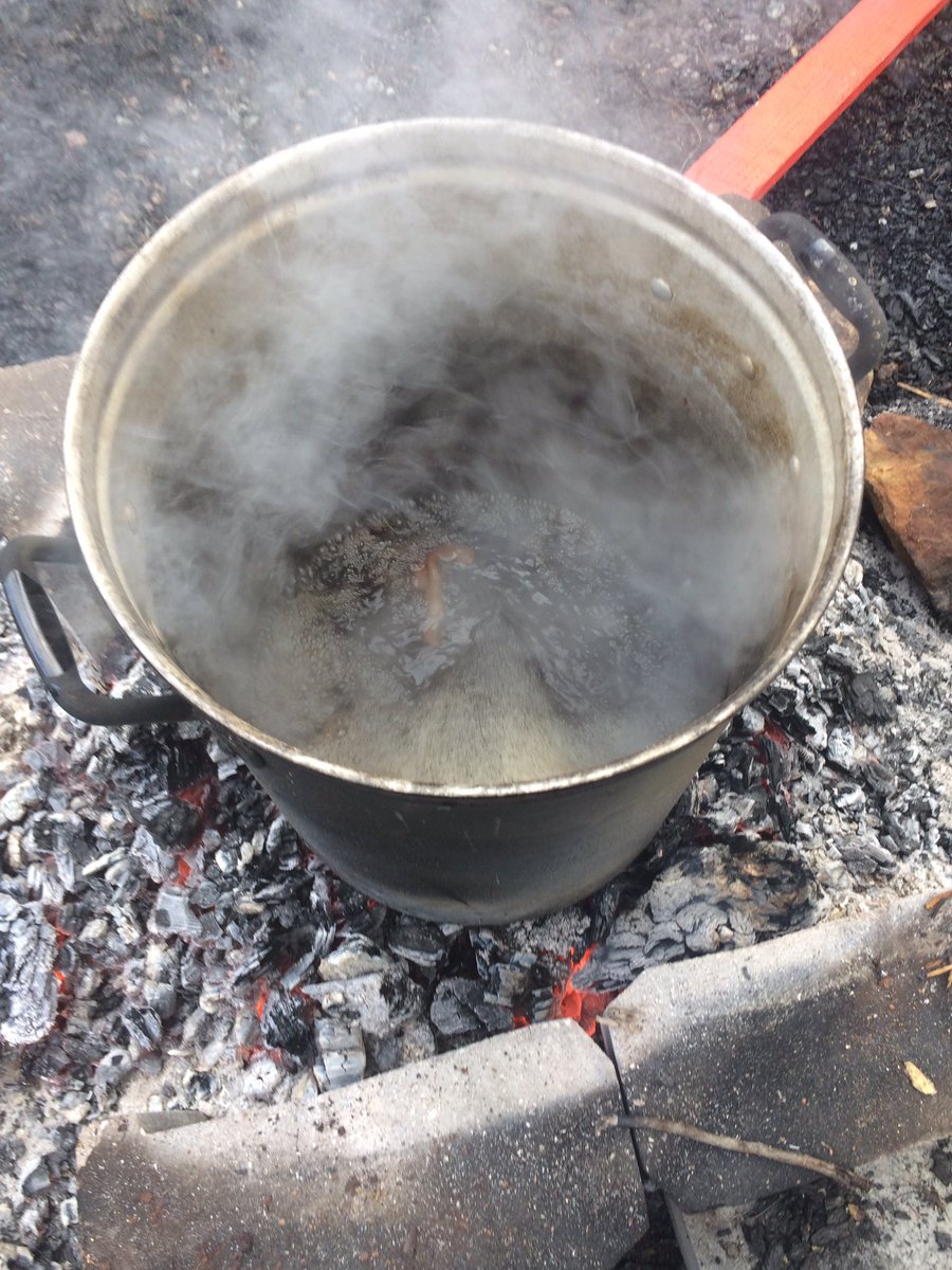 Boiling Maple water to make syrup with my Little Buddy