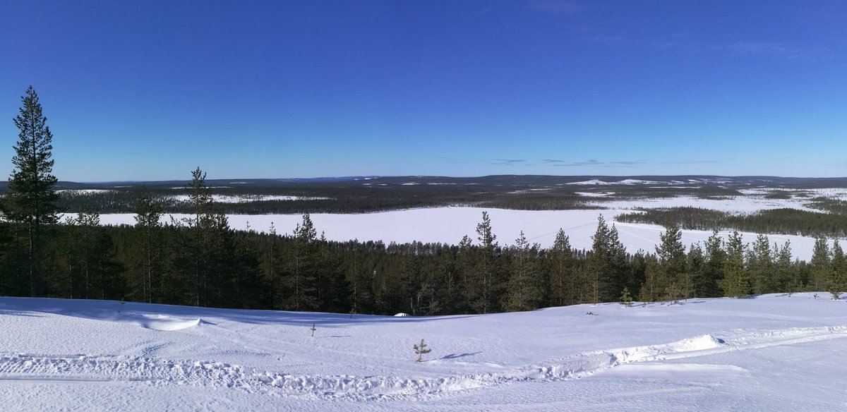 karjapertti's tweet photo. Työpäivän saldoa. Näillä keleillä tulenjohtopaikalta näkee useammallakin maalialueelle. Toukokuussa #tulilähtee. #KAIPR #ArmyNorth https://t.co/XPTKdy4O0i