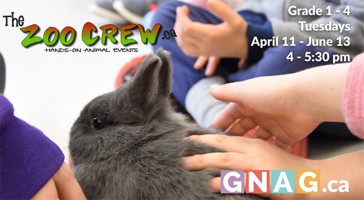 GNAG_Ottawa's tweet photo. No need to get a pet when your child can come and experience a world of animals at our ZOO CREW class. @ZooCrewOttawa #iloveanimals #pets https://t.co/JoDEHqOSAM