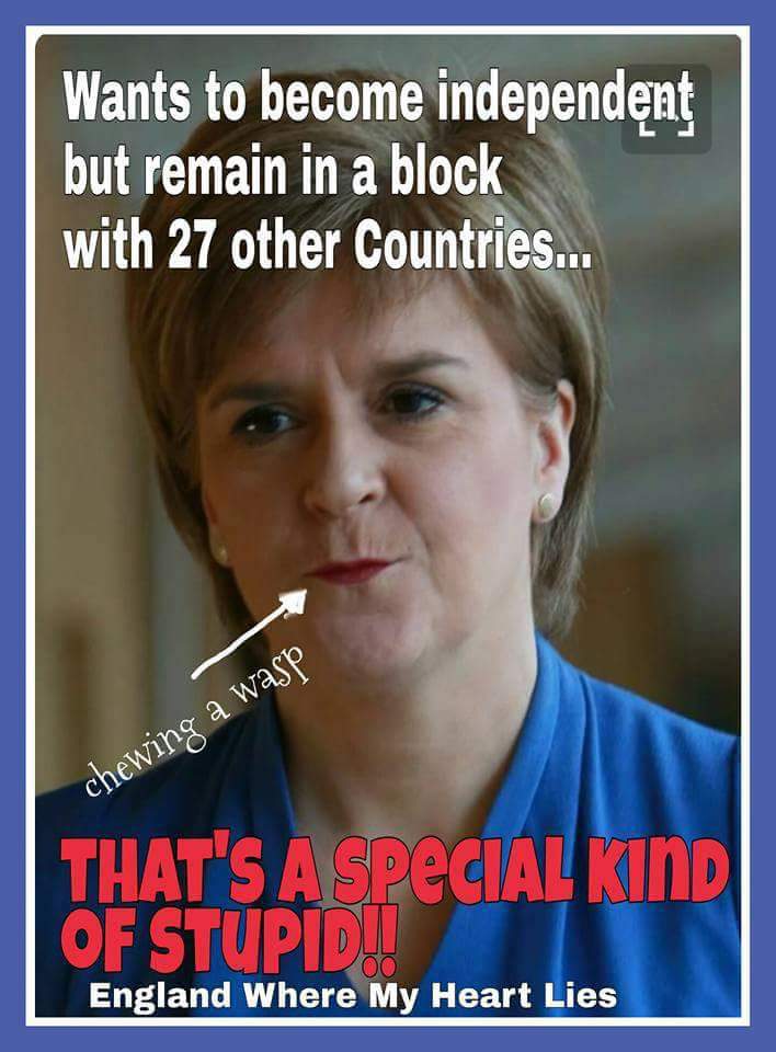 DJ_Chubbs's tweet photo. @NicolaSturgeon https://t.co/okb6FdkfzX