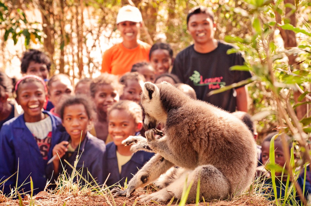 IleMadagascar's tweet photo. On 👏👏👏 les initiatives pour l'éducation environnementale pour un #Madagascar  meilleur ! 
-
📷 Lemur's Park https://t.co/rkaKNCaTHj