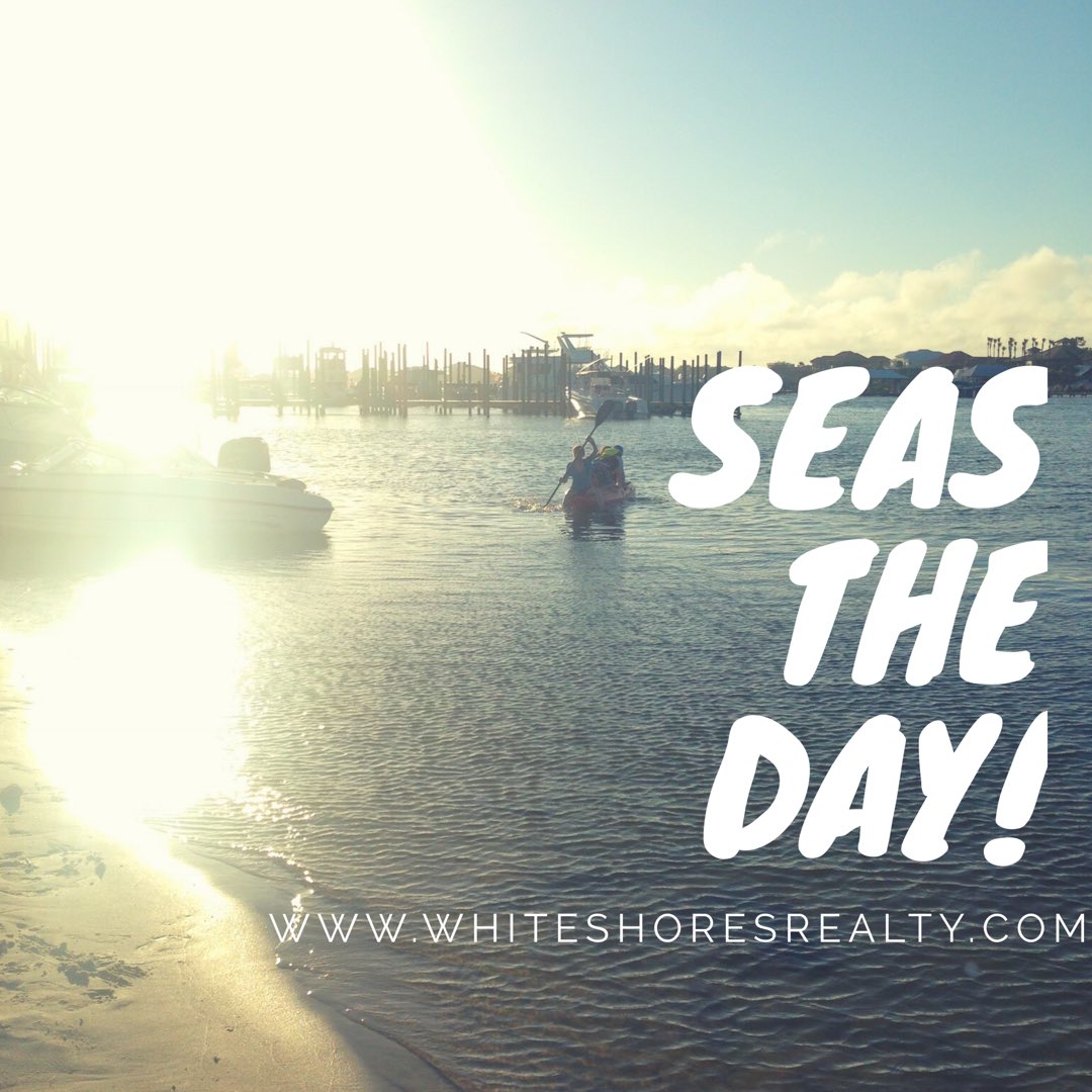 White Shores Realty tweet media