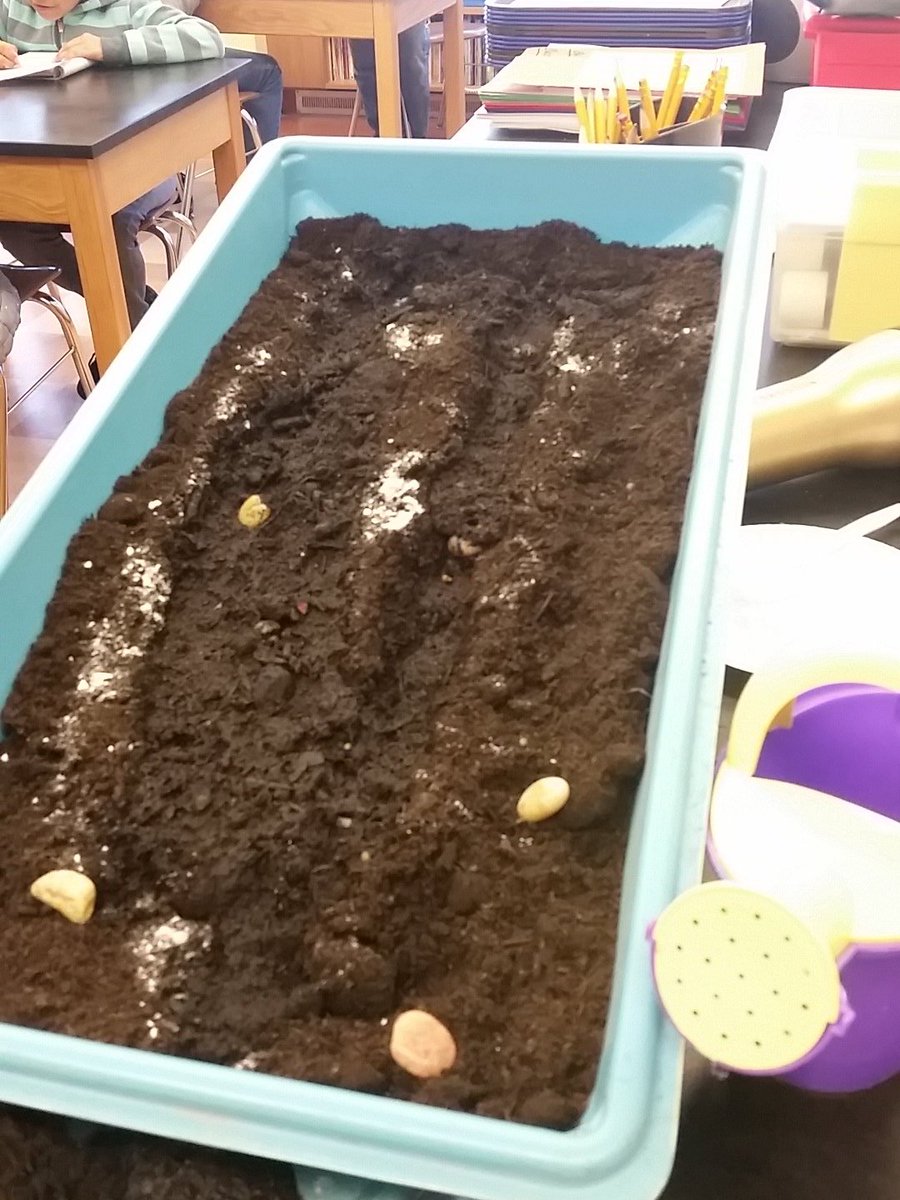 4-301  learning about weathering, erosion and deposition on our erosion table.