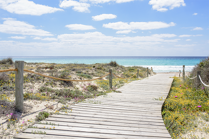 visitformentera's tweet photo. ¿Contando los días que quedan para verano? ¡Deja de contar! En #Formentera ¡disfrutarás todo el año! 👌🏽 🌅 ⛵️ ☀️ 😀 🏊🏽  #Formenteratodoelaño https://t.co/5ADN6ITcFu