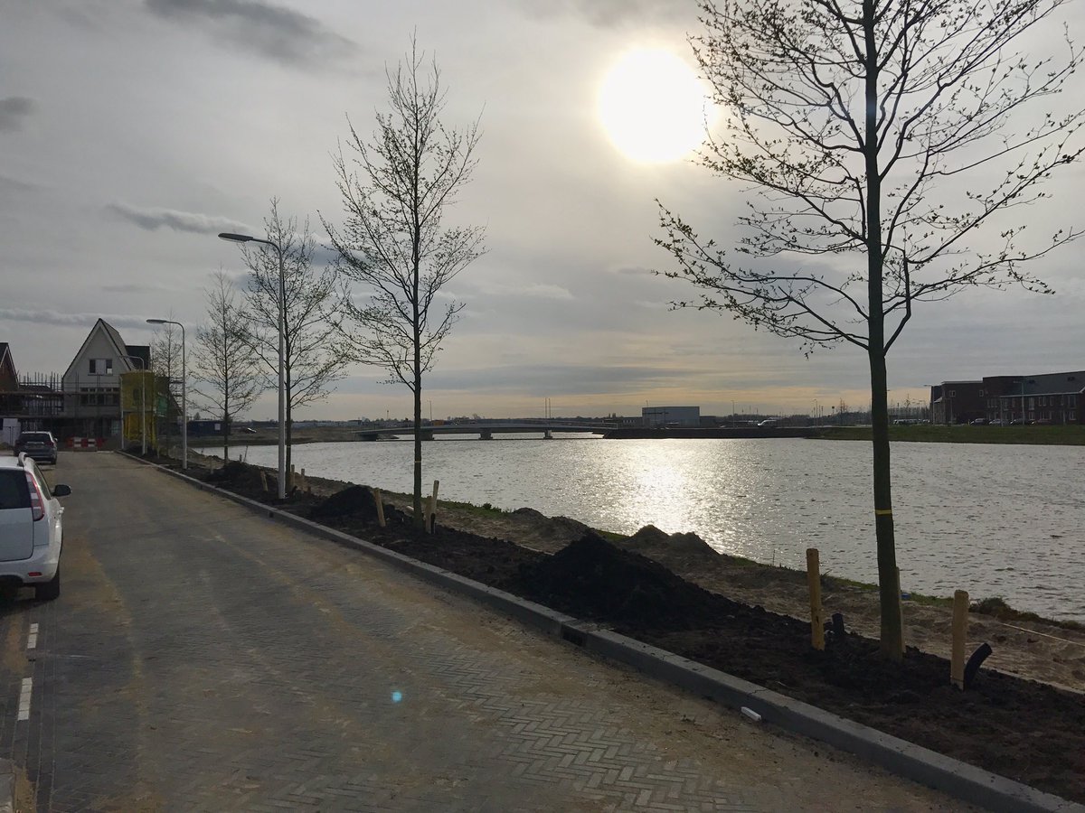WWWestergouwe's tweet photo. WEER EEN TAKJE GROENER!
Westergouwe-I krijgt steeds meer vorm, deze week worden er bomen geplant. https://t.co/1tbQGozxy1
