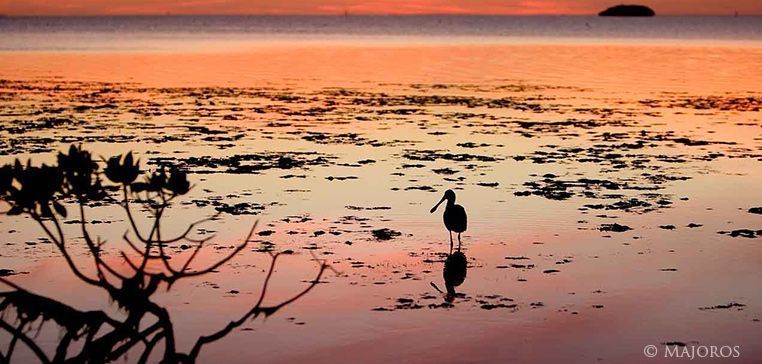 USFWSClimate tweet picture
