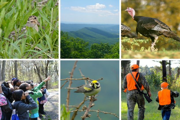 USFWSClimate tweet picture