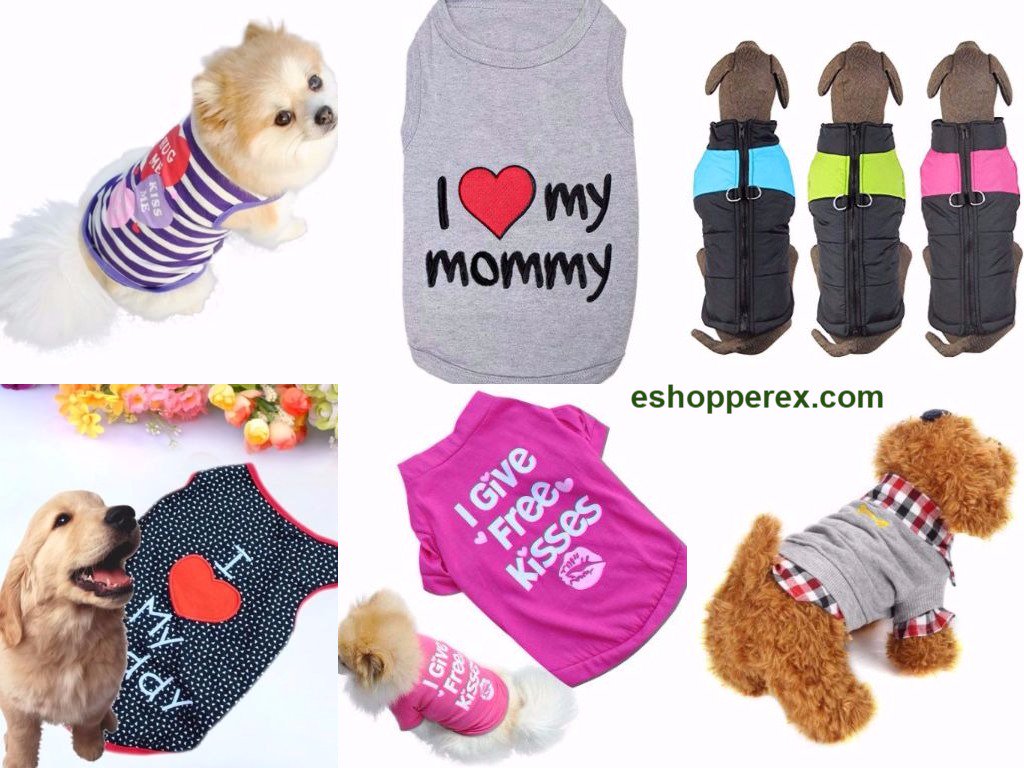 Rachel454Mason's tweet photo. See all our lovely dresses for your pet at #eshopperex.com

For more see the link:

https://t.co/EPEH9Nz4hf

#eshopperex #pet_Clothes https://t.co/cyHZP3ZX8n