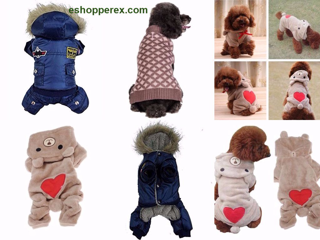 Rachel454Mason's tweet photo. See all our lovely dresses for your pet at #eshopperex.com

For more see the link:

https://t.co/EPEH9Nz4hf

#eshopperex #pet_Clothes https://t.co/cyHZP3ZX8n