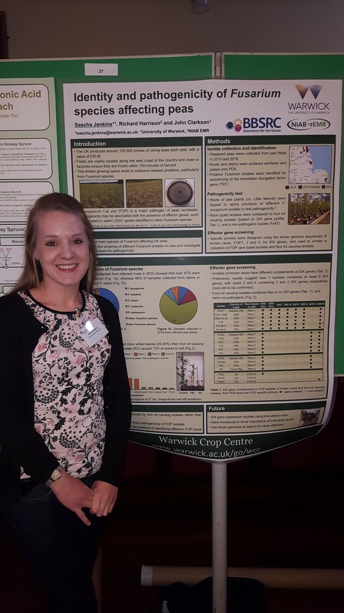 Kathryn_H_1's tweet photo. Sascha at the #MBPP2017 poster session presenting pathogenicity of Fusarium @plant_disease @WarwickCrop https://t.co/ItLEMMmi4s