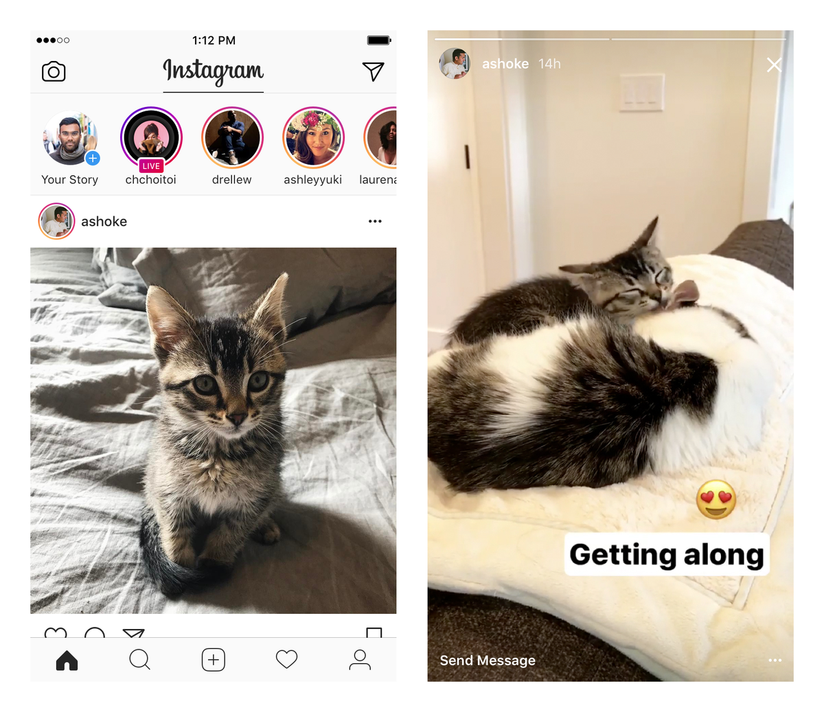 instagram's tweet photo. In your home feed, you’ll now see a colorful story ring around profile photos if that account has a new story. https://t.co/qxz6SM13MJ
