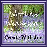 CreateWithJoy1's tweet photo. Share your #Photos at the #WordlessWednesday #BlogHop
https://t.co/eOHitAVuZS
#BlogParty #Photographers #PetPhotography #NaturePhotography https://t.co/S3pBrJLuh6