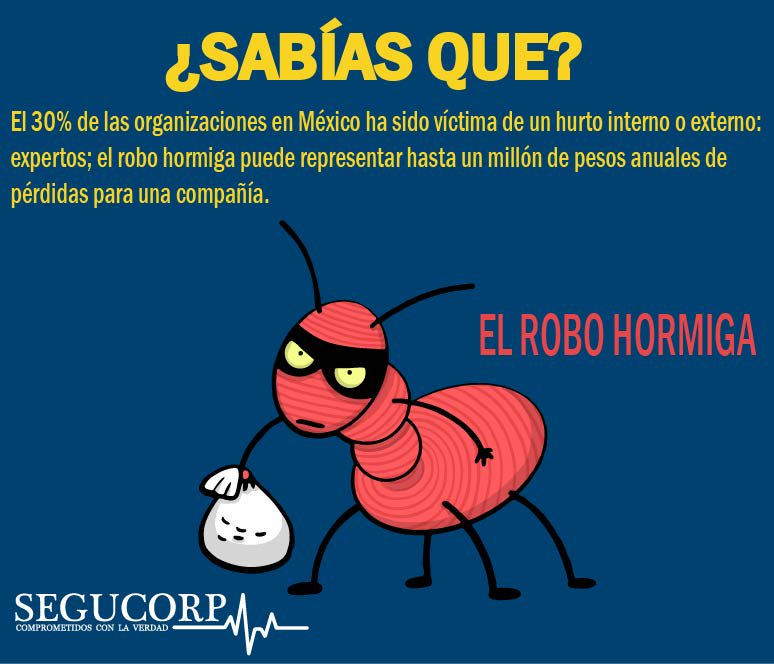 SegucorpOficial's tweet photo. #SiAlgoMeUrgeEs DISMINUIR EL ROBO HORMIGA.... consulta nuestras opciones https://t.co/MftI4Mg3GV #SEGUCORP https://t.co/1xUsM6ghfN