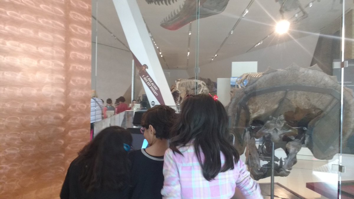 mskikkertsclass's tweet photo. Dinosaurs at the ROM! We had a fantastic day! @PeelSchools @FloradalePS @ROMtoronto https://t.co/XDj6Zb4tDf