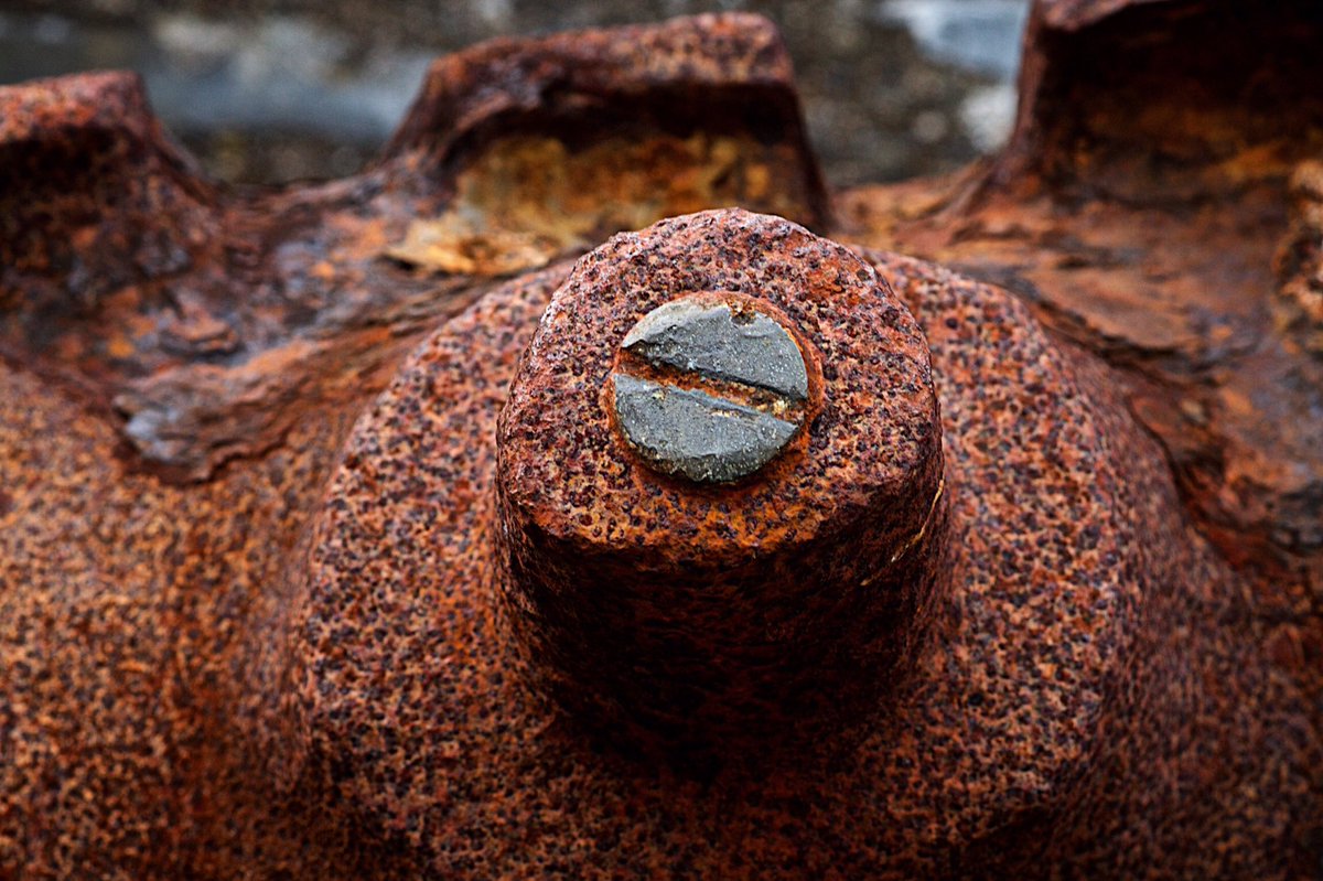 ayearupclose's tweet photo. "#DanBeard #Ship 5"
#500pxrtg #PhotoRTG #Macro #Canon7D #macrodaily #lifestory #ayearupclose #rust
#Rusty #Metal #Gun #Porthgain #Wales https://t.co/AgHUlMUPrm