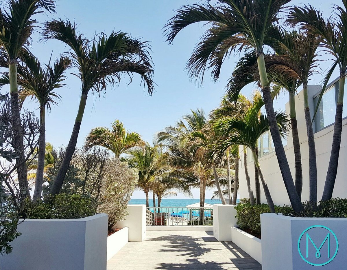Marenas Beach Resort tweet media