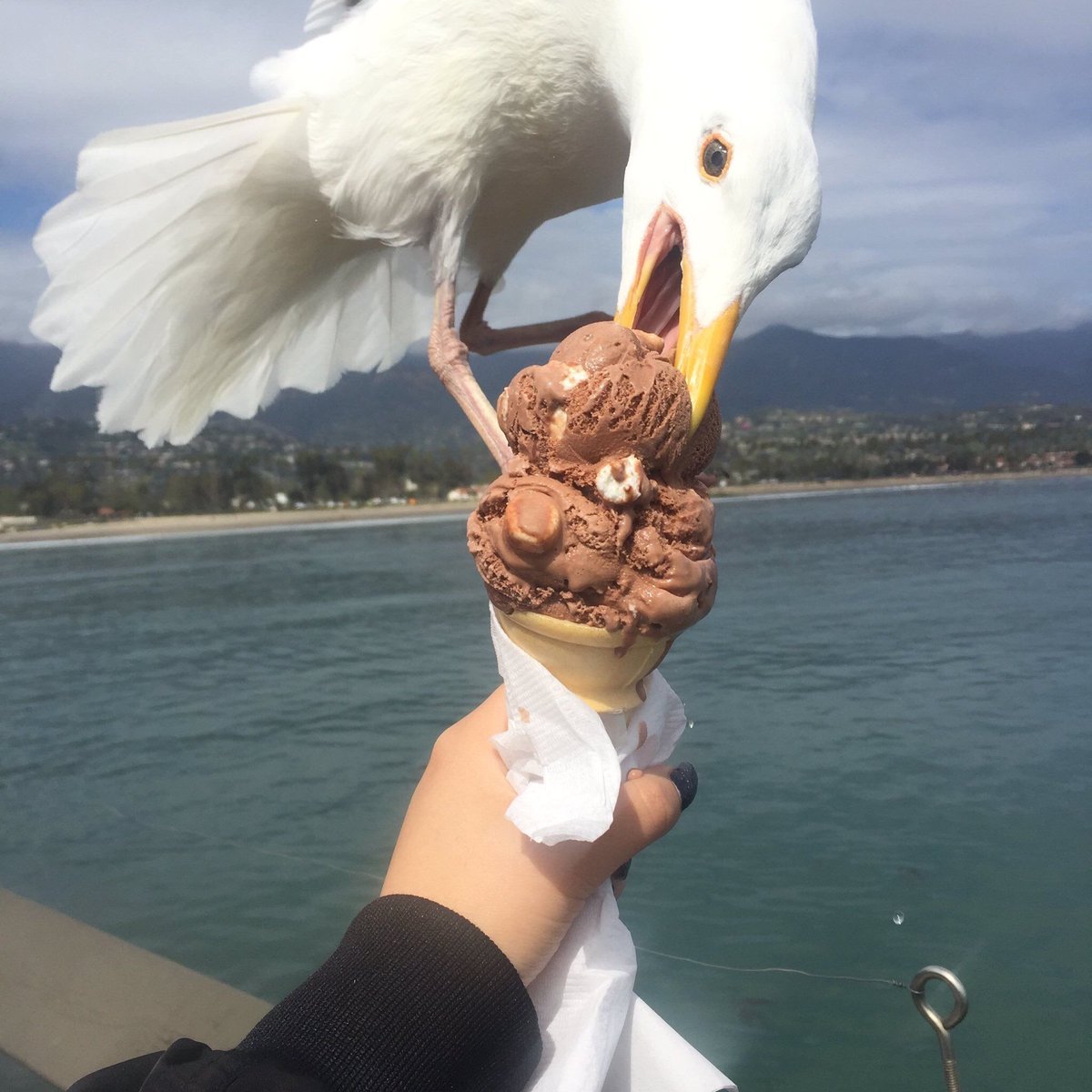 AusttinMahoneLA's tweet photo. MY WORST NIGHTMARE https://t.co/cm5xgLyceq