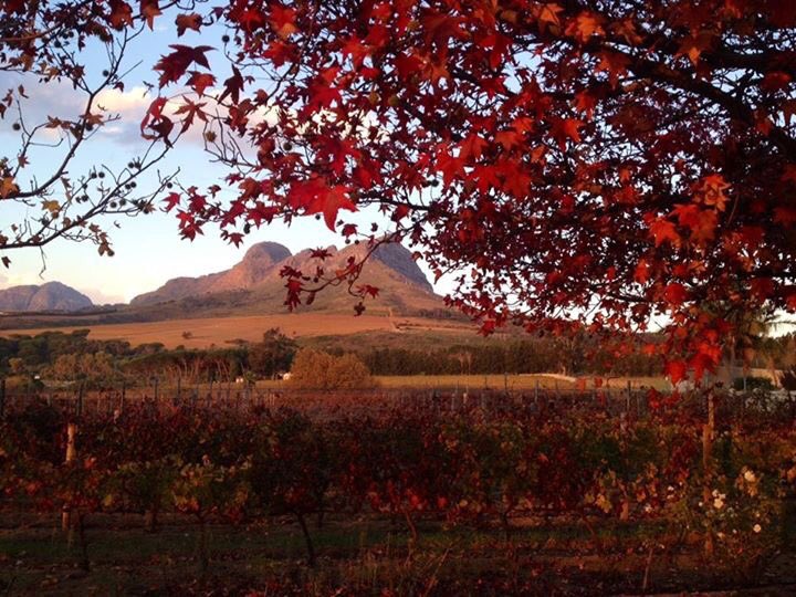 YONDER HILL tweet media