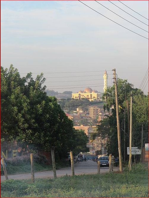 UmemeLtd's tweet image. Tree branches passing through electricity lines can cause a power outage. Call us on 0800285285 or 0800385385 to have them trimmed. ZS