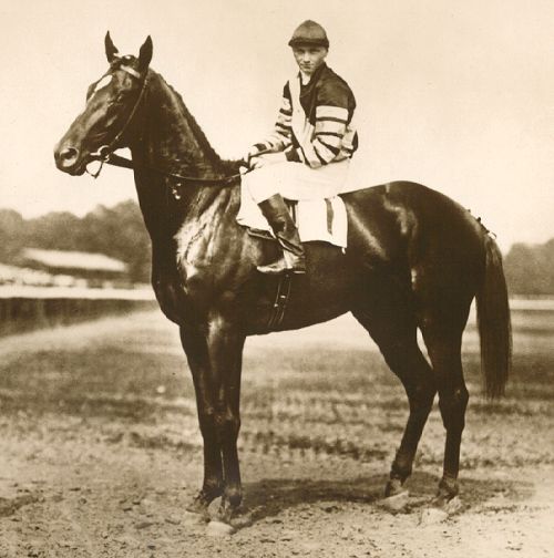 KathyPlomin12th's tweet photo. On this day 100 years ago, one of the greatest racehorses of all time was born. Happy Centennial to Man o' War, a true Lexington legend! https://t.co/FnbgdYWaIx