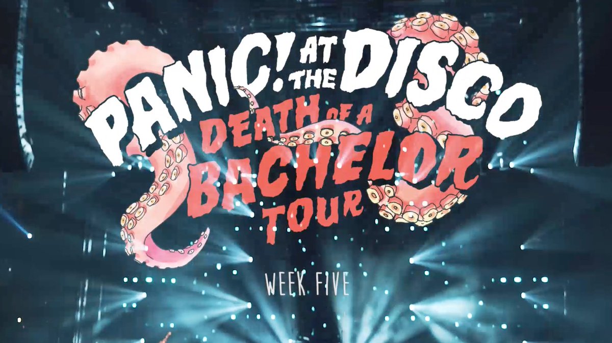 Shantelle (@Shantelle__xoxo)  X