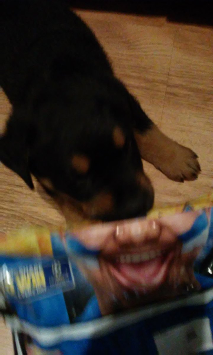 roxieroo2's tweet photo. @walkers_crisps #WalkersUnited https://t.co/WELUFTA5Sp