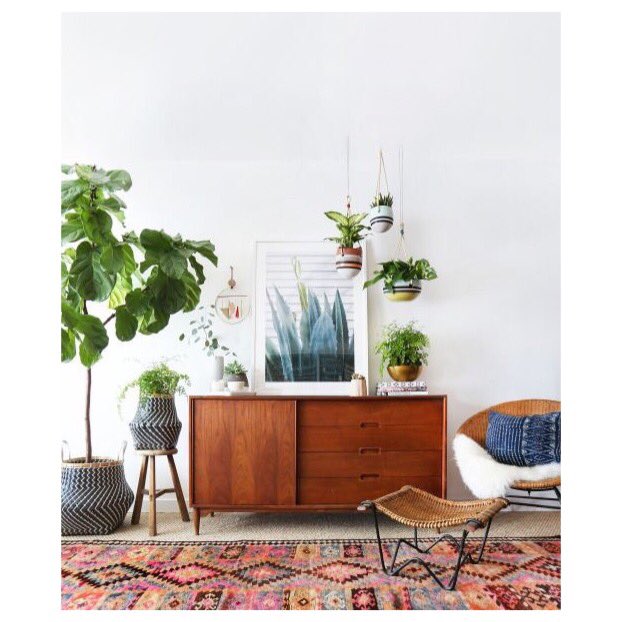 #dailyinspiration 
En parlant de plantes, on a une belle surprise dans quelques jours !
#plantes #home #summer #plantlover #onlineshop