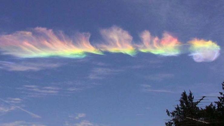 Bryan Diaz Brydzm Twitter