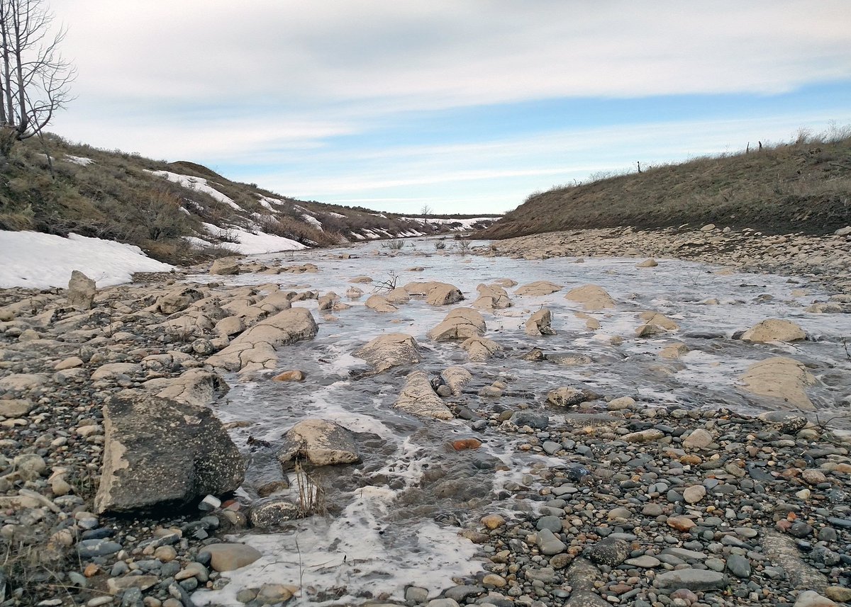 USGS_Idaho's tweet photo. ICYMI, the Big Lost River @INL began flowing last week for the first time since 2012: https://t.co/yQetozRvKH https://t.co/YHFMQ96KFK