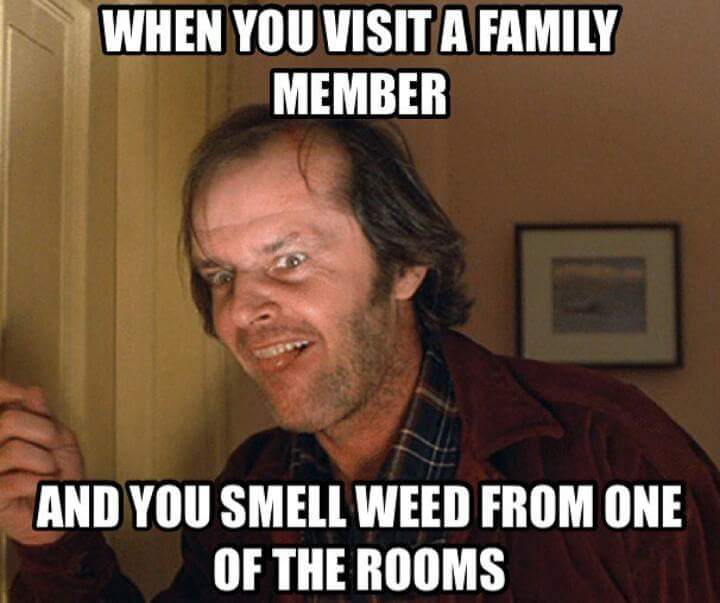 When the relatives want to be part of #highlifemusicfestival