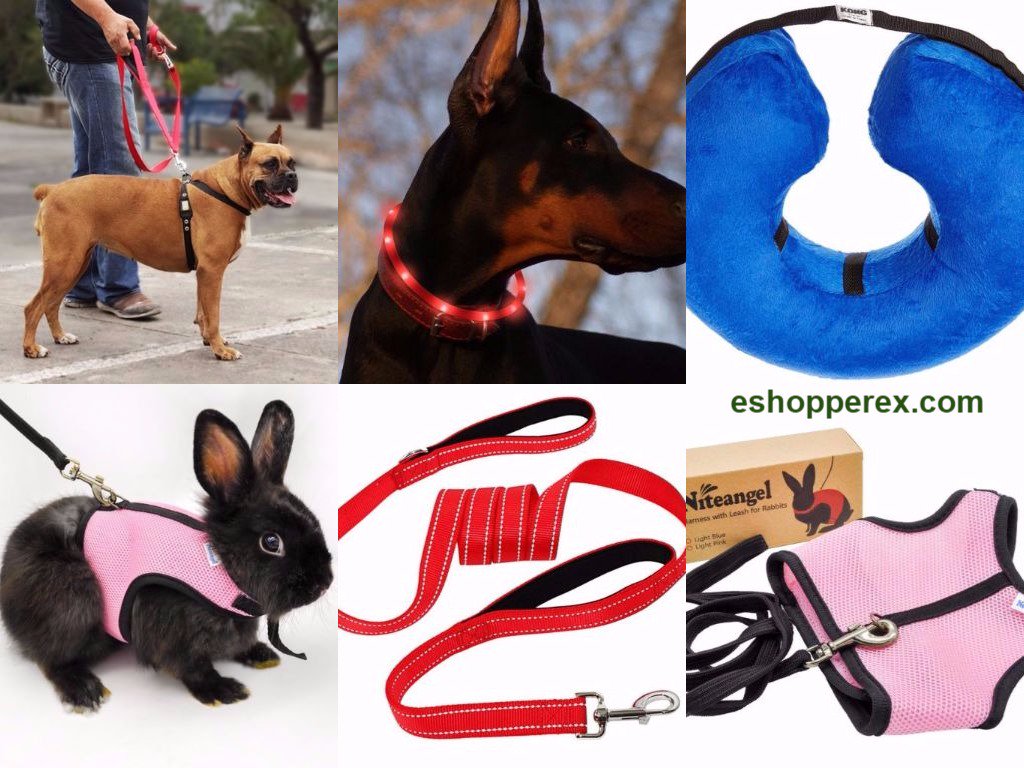 Gorgeana2's tweet photo. Great collection of #Tag #Collar #Leash for your pet at #eshopperex.com

For more check the link:

https://t.co/Wi9AXq0ho5

#eshopperex https://t.co/u6BjPfI890