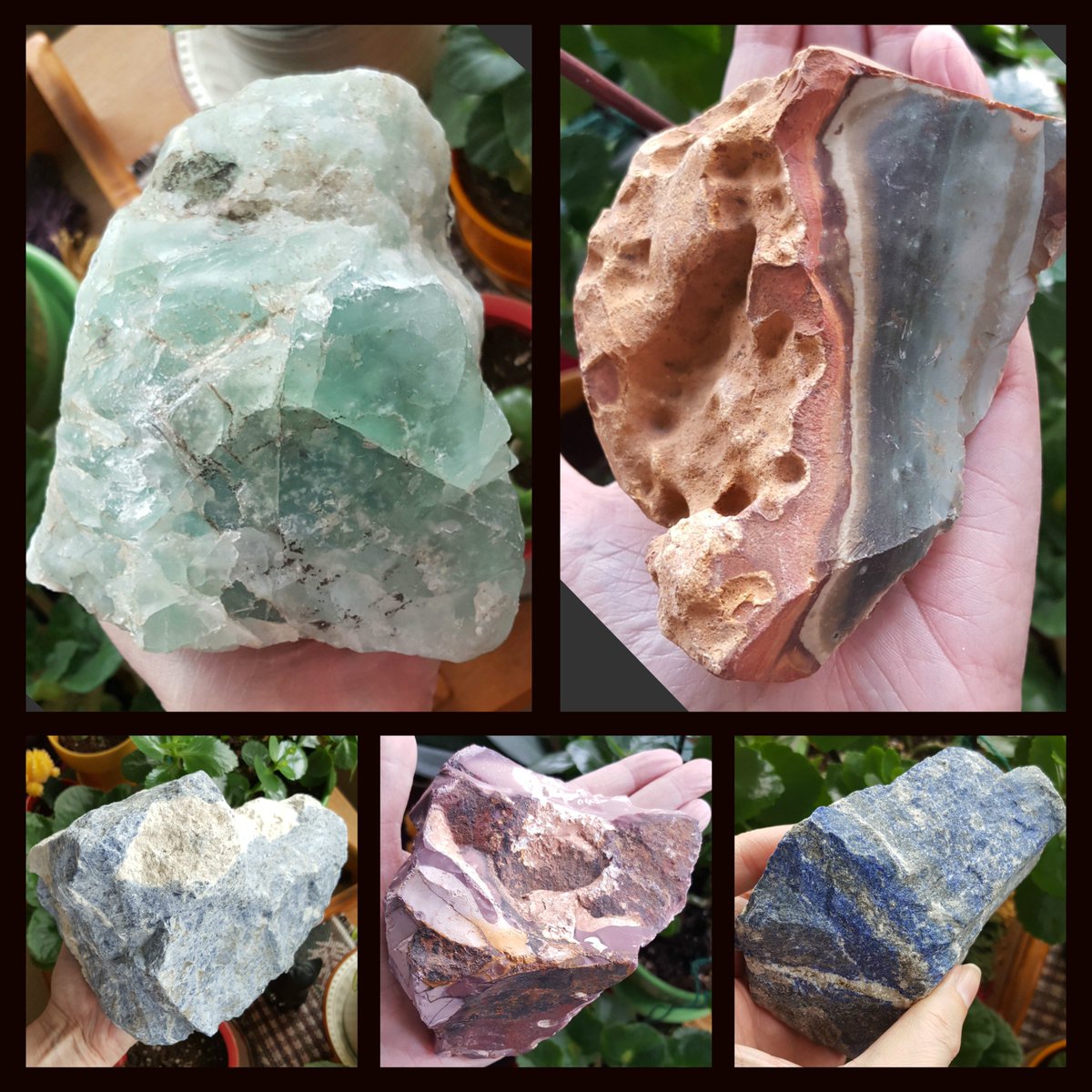 PeaceInTheSwirl's tweet photo. Delicious raw. My favorite form. Then again, give me a stone, any stone. 😃 https://t.co/H984tDNuPs https://t.co/6R2MoEvKYq