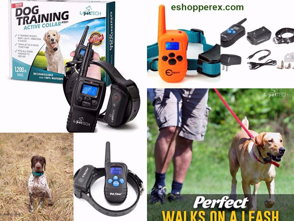 TaylorNuria's tweet photo. Great collection of #Tag #Collar #Leash for your pet at #eshopperex.com

For more check the link:

https://t.co/OQVssZX77g

#eshopperex https://t.co/MeEP37Svcs
