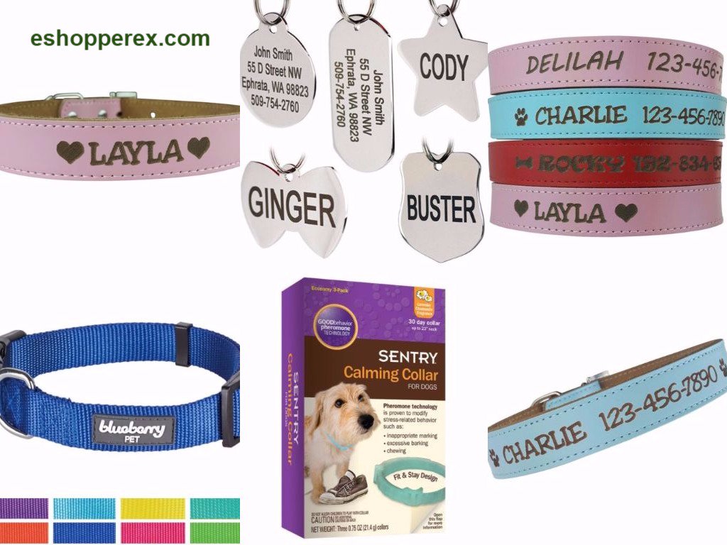 Rachel454Mason's tweet photo. Great collection of #Tag #Collar #Leash for your pet at #eshopperex.com

For more check the link:

https://t.co/lRMVCNH29x

#eshopperex https://t.co/XCbFFhH2J6