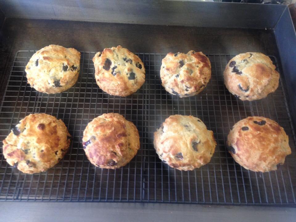 StokoeMedia's tweet photo. Cakes and scones to die for. There's good coffee too! Give 'em a follow and drop in to say hello @willowswhitby #whitbyhour #ryedalehour https://t.co/4eFrsQUPCr