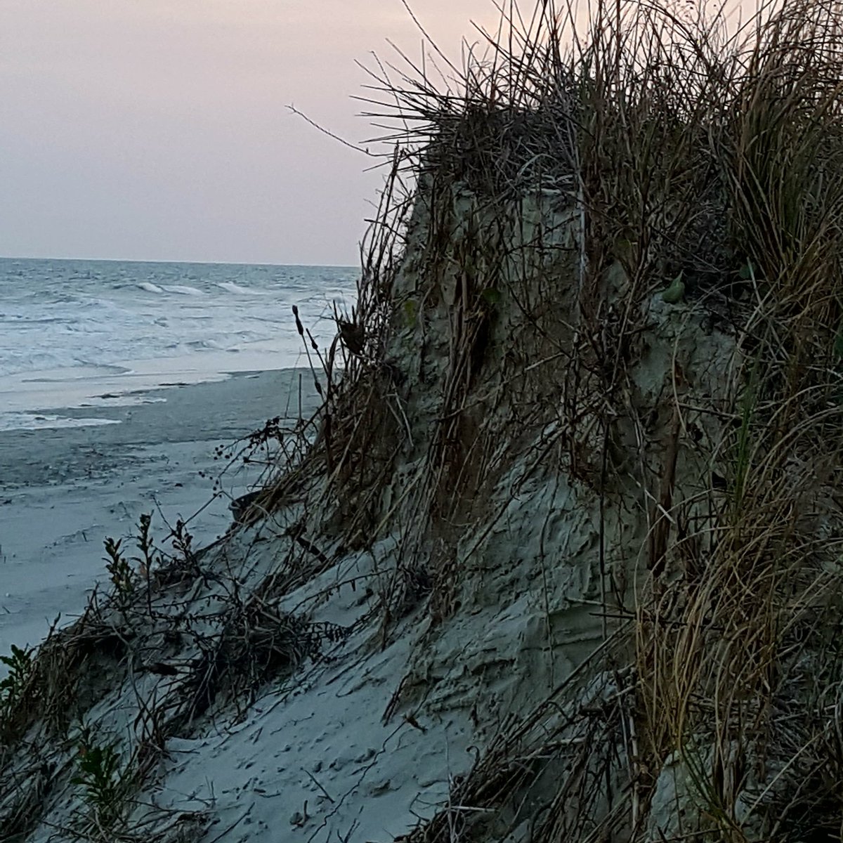 DaneCheney1's tweet photo. #cherrygrovebeachsc https://t.co/DSglTCBgAG