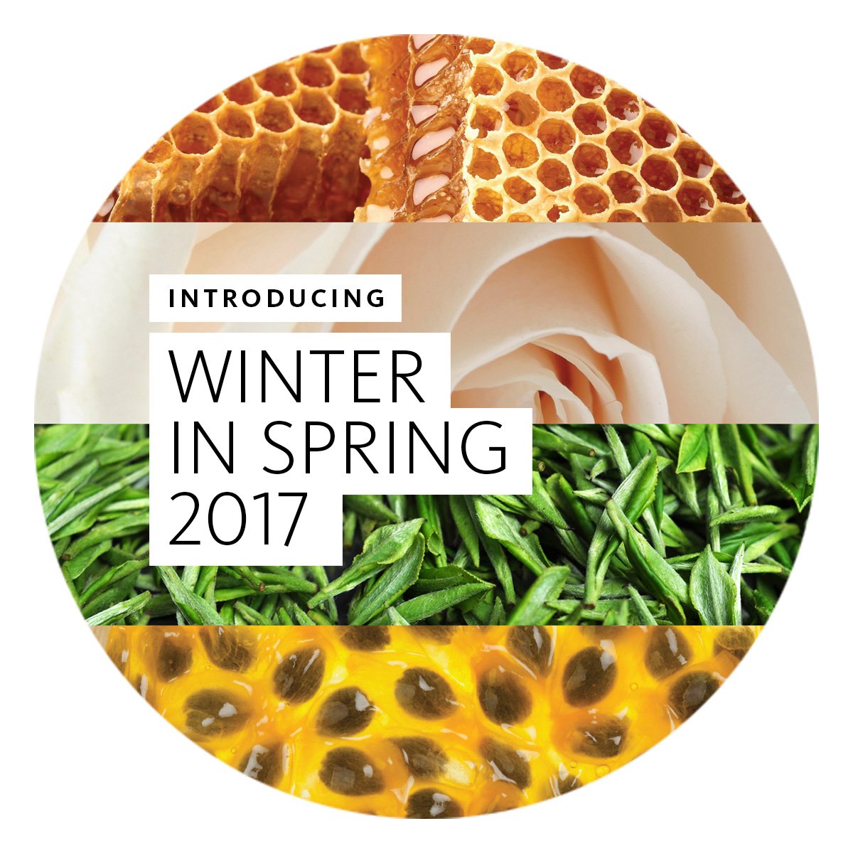 Four_Winters's tweet photo. Are you ready for Winter in Spring 2017?! #FourWinters #WeFreezeTheSeasons https://t.co/hNvSkwkJnt