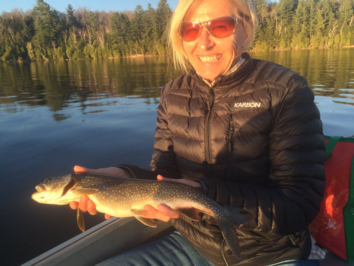 Paddy Johnson tweet media