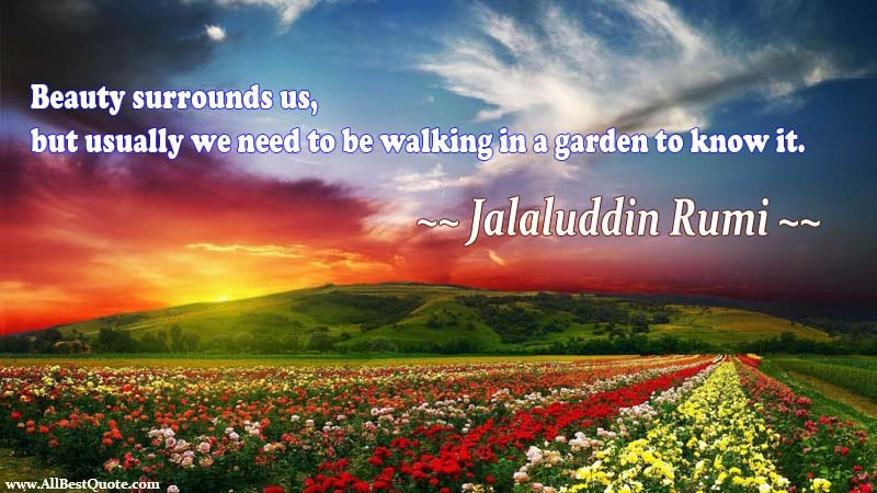 scott_sara43's tweet photo. Happy #wellnesswednesday #rumi https://t.co/GDHaGSizc2