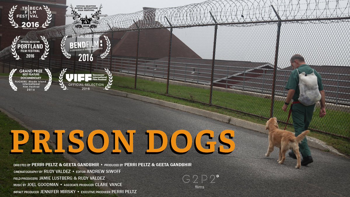 prisondogsfilm's tweet photo. Don't miss @prisondogsfilm at @CIFF #CIFF41. Co-director @GeetaGandbhir &amp; veteran Tracy Pennycuick Q&amp;A April 1! Tix: https://t.co/HLvn1tuYQg https://t.co/DtojQA9biP