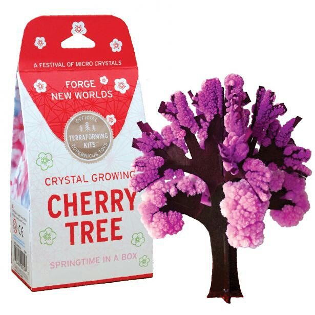 ubercoolstuff's tweet photo. Crystal growing cherry tree and a volcano! Fun, science activity! #kids #science #GetDTL https://t.co/ZCaVCLJTfN