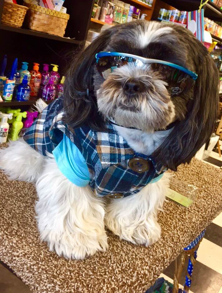 MaxsPetClothing's tweet photo. Starting this Saturday (April 1st) everything in the shoppe is 75% off!!! CRAZZZZY good deals!Stop in soon! #spokanewa #sPOKANE #spokanedogs https://t.co/gGp4HnVjQJ