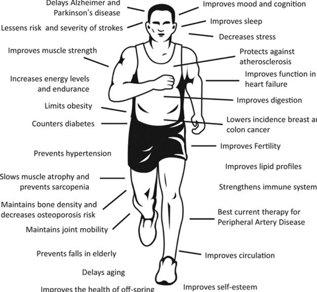 docandrewmurray's tweet photo. The HUGE and MANY benefits of exercise/ physical activity .  Via @WvanMechelen https://t.co/HuKh5HNpH5