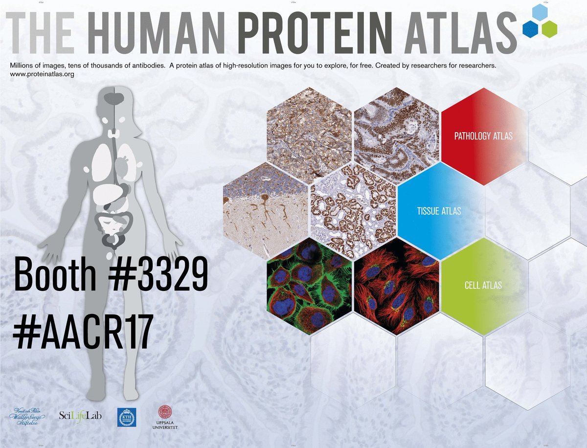 Interested in our open access database of #proteins? Meet us in person at  #AACR17, booth 3329. https://t.co/9XAr6FADzU