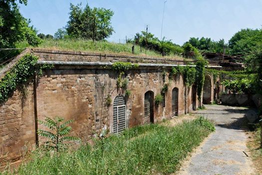 ProgettoForti's tweet photo. Riscoprendo #ForteAntenne | Sab 01/04/2017 | 10.00 - 13.00 | Pulizia, valorizzazione e visite guidate di un bene comune! #ProgettoForti https://t.co/0fgOn6tPTD