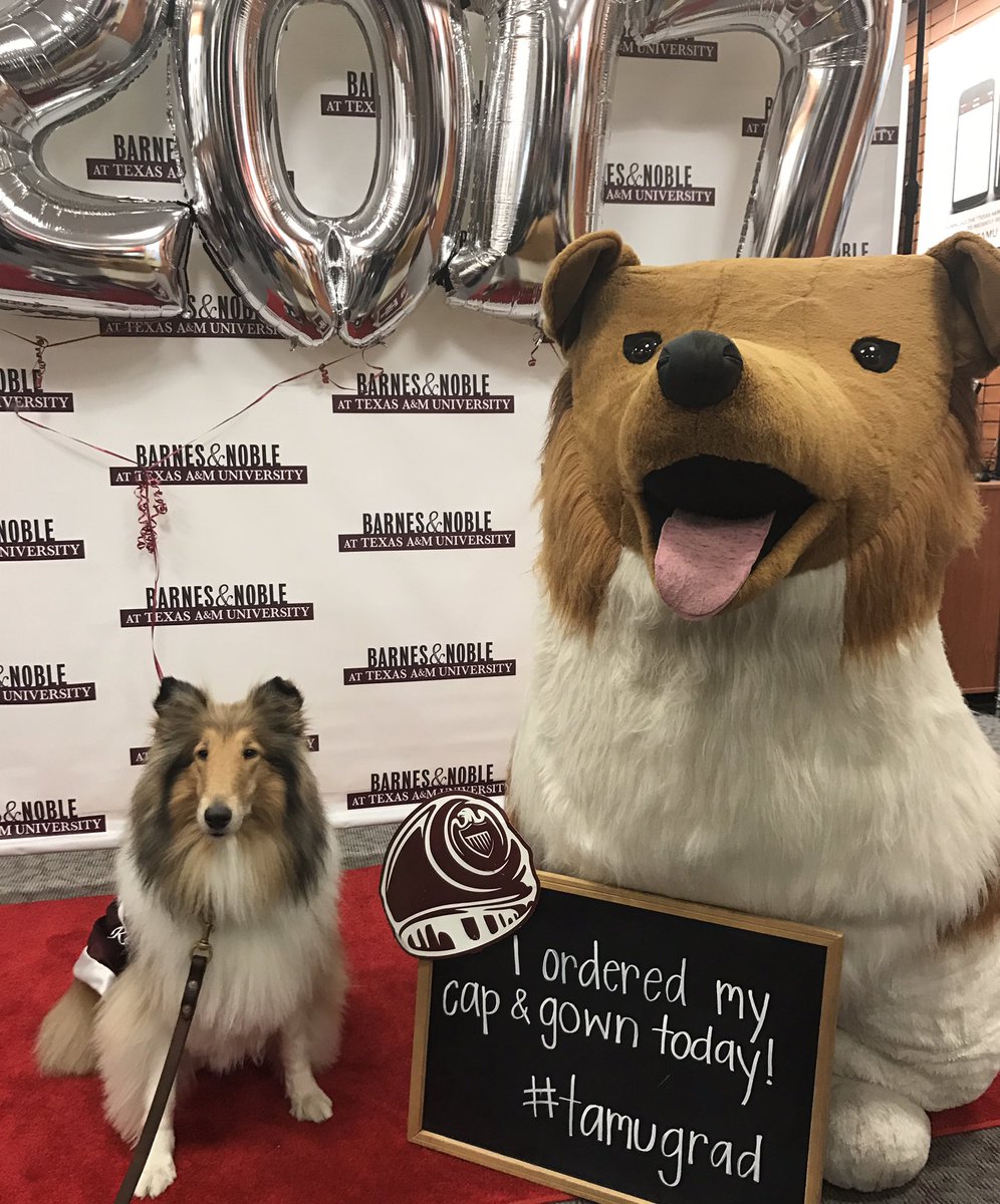 reveille's tweet image. WHY AM I SO BIG?!?!?