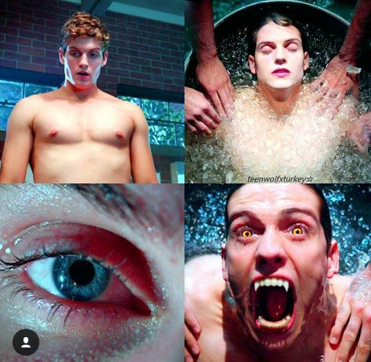 WolfsBaneMac's tweet image. "Why, are you afraid of me? You created me!"

- New OC RP
- Experienced
- Werewolf
- Daniel Sharman FC
- 18+ Mature Content 
- Detailed RP